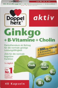 Doppelherz Aktiv Ginkgo + B-Vitamine + Cholin