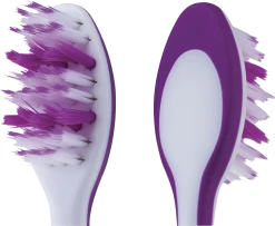 Elmex Zahnbürste Zahnschmelz-sanft Extra Weich -NIVEA SHOP MAM 6576378 SHOP IMAGE 2.0