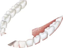 GUM® HaliControl® Zungenreiniger 6 GUM® HaliControl® Zungenreiniger -NIVEA SHOP MAM 7037304 SHOP IMAGE 1.4