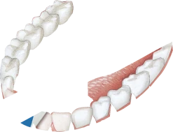 GUM® HaliControl® Zungenreiniger 7 GUM® HaliControl® Zungenreiniger -NIVEA SHOP MAM 7037306 SHOP IMAGE 1.4