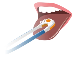 One-Drop-Only Zungenreiniger Professional Deluxe -NIVEA SHOP MAM 7351089 SHOP IMAGE 1.6