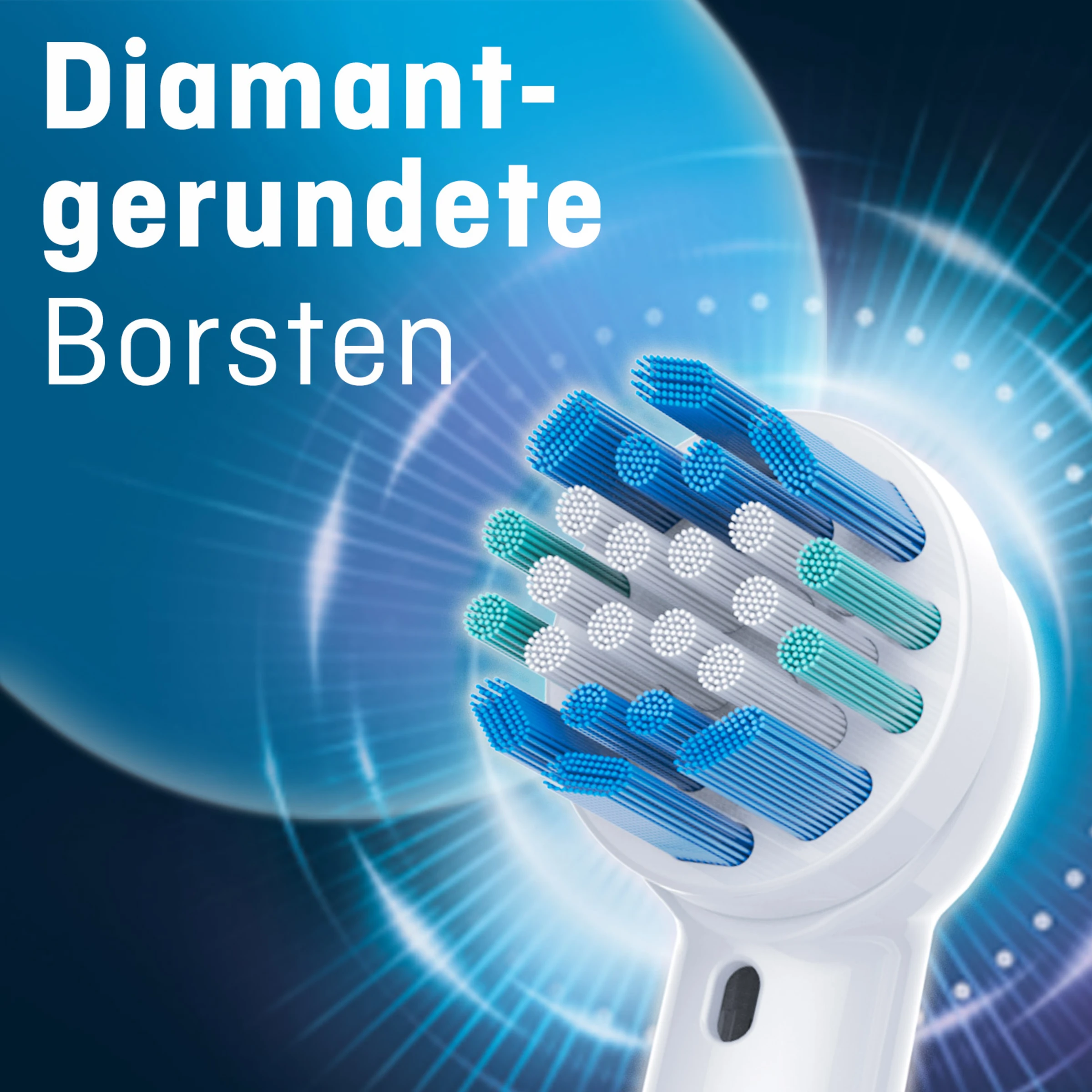 Prokudent Aufsteckbürsten Classic 2 Prokudent Aufsteckbürsten Classic – Bild 2