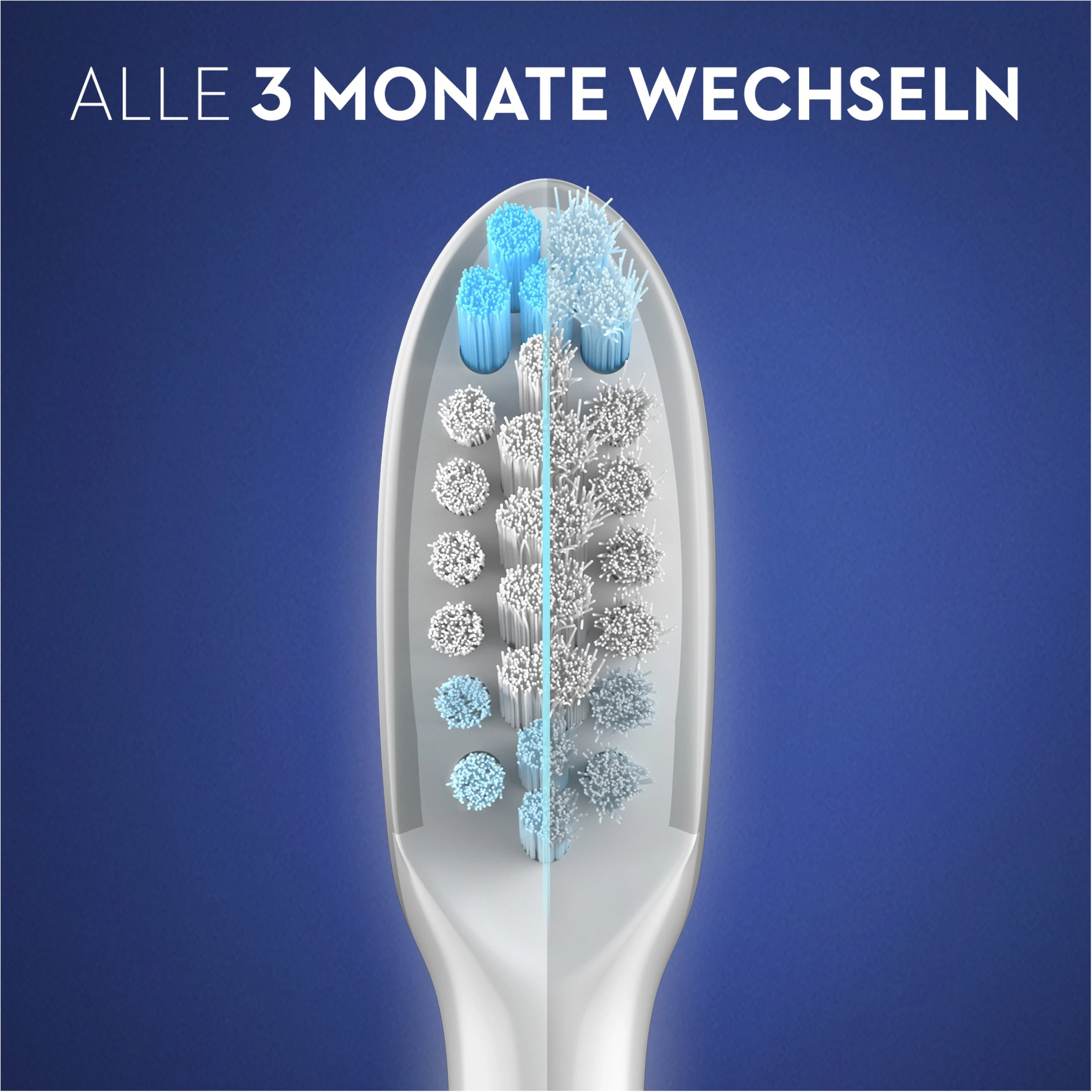 Oral B Aufsteckbürsten Pulsonic Clean 3 Oral B Aufsteckbürsten Pulsonic Clean – Bild 3