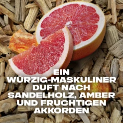 Axe Duschgel Alaska -NIVEA SHOP MAM 9076058 SHOP IMAGE 1.4