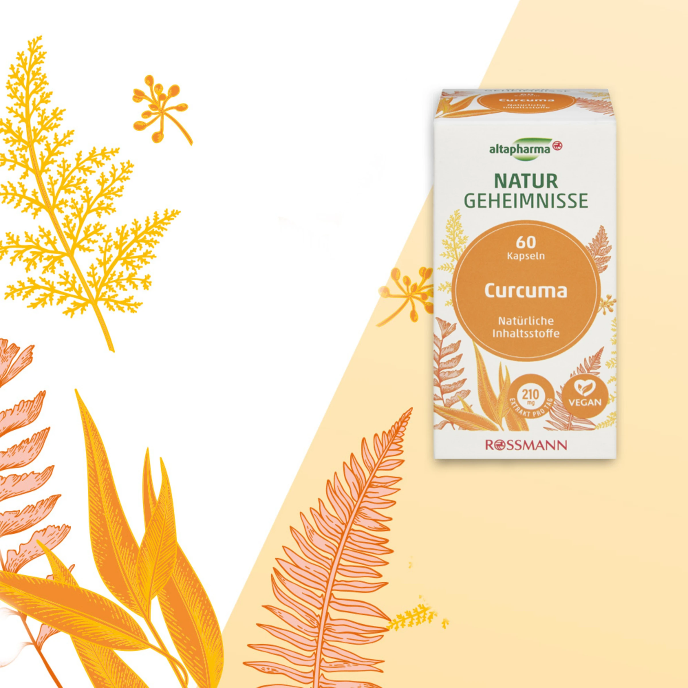 Altapharma Naturgeheimnisse Curcuma Kapseln 7 Altapharma Naturgeheimnisse Curcuma Kapseln – Bild 7