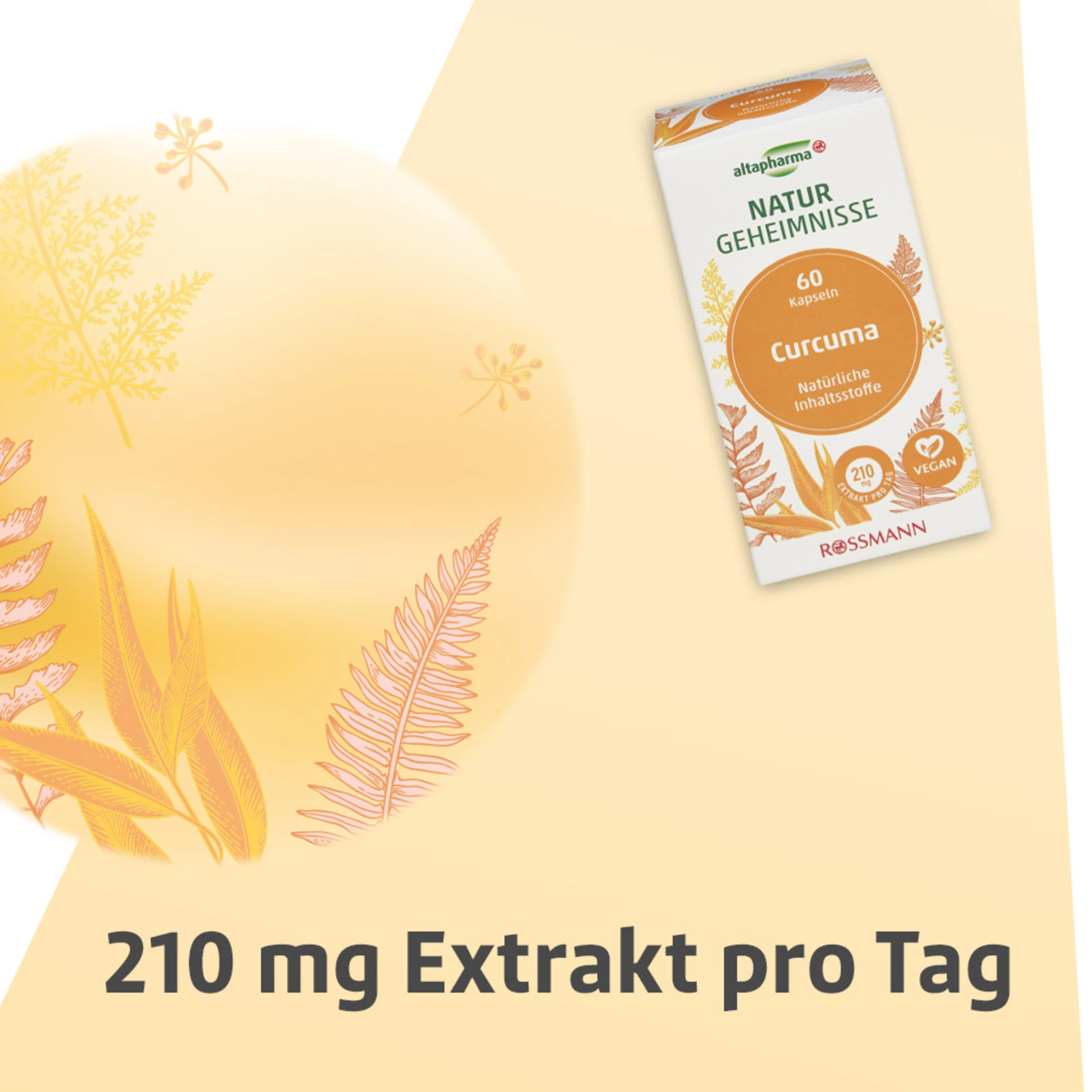 Altapharma Naturgeheimnisse Curcuma Kapseln 8 Altapharma Naturgeheimnisse Curcuma Kapseln – Bild 8